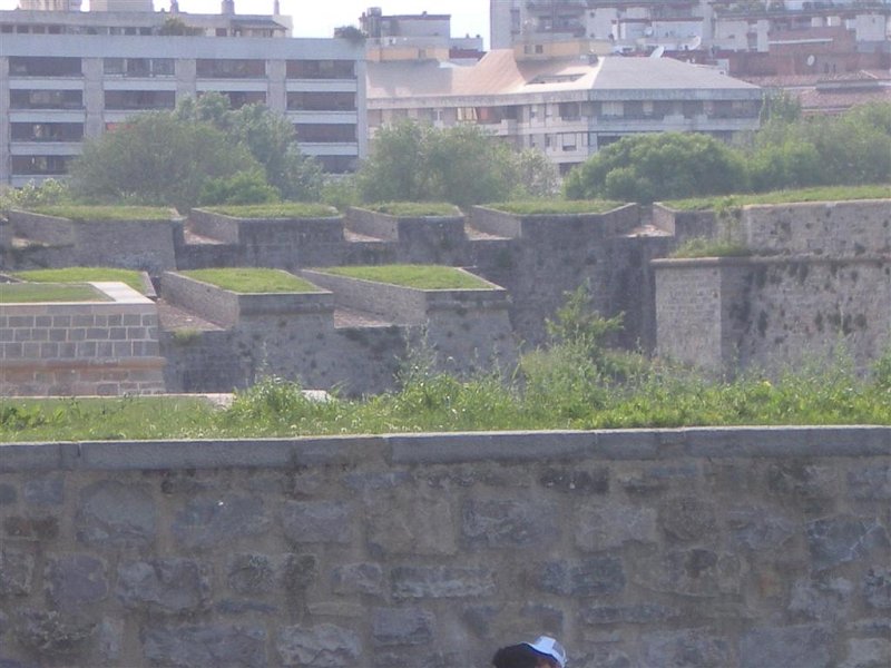 Original image